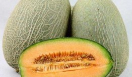 健身后吃哈密瓜,哈密瓜助力恢复与成长