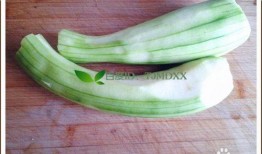 可以炒菜吃的瓜叫什么瓜,揭秘可炒菜食用的神奇瓜类