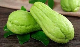 赵家堡吃瓜,揭秘宫廷秘闻，探寻历史真相