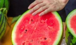 重庆学校吃瓜,吃瓜群众的味蕾探险记