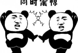 吃瓜的群众的一天,围观娱乐圈，笑谈人间百态