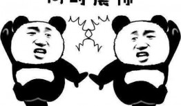 吃瓜的群众的一天,围观娱乐圈，笑谈人间百态