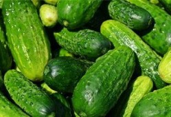 梦见吃瓜吐子,揭秘吃瓜吐子背后的寓意与象征