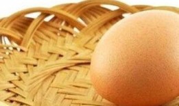 小金鱼吃瓜,趣味盎然的宠物日常