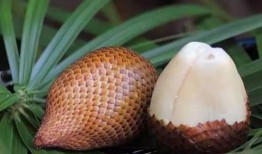 吃瓜肖战豆瓣,豆瓣热议背后的真相揭秘