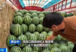 吃瓜式卖,吃瓜群众如何成为幕后推手