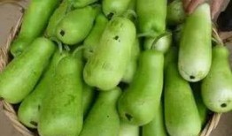 吃葫芦瓜反酸,轻松应对胃酸不适