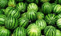 立秋后不宜吃瓜,告别夏日清凉，瓜果不宜再贪食