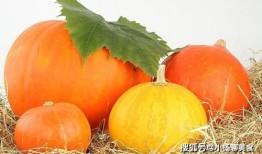 吃瓜肖战豆瓣,豆瓣热议背后的真相揭秘