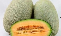 吃哈密瓜有声音,夏日美味新体验