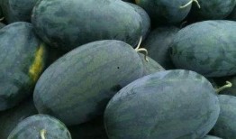 新一峰吃瓜,揭秘娱乐圈幕后真相