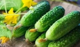 冬至吃瓜怎么吃,创意吃瓜新风尚