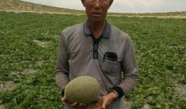 吃瓜群众ee摄影师