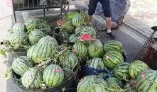 沂水女子吃瓜事件,一场引发社会热议的街头冲突