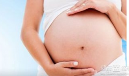 早孕可以吃瓜,这些瓜类食物孕妇可以放心享用