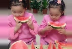 吃瓜双胞胎,揭秘娱乐圈的甜蜜“瓜”事