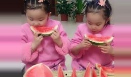 吃瓜双胞胎,揭秘娱乐圈的甜蜜“瓜”事