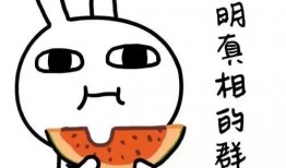 本尊吃瓜,揭秘娱乐圈幕后真相