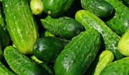 梦见在瓜地里吃瓜