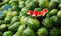 吃瓜资源分享南京,吃瓜资源分享，解锁地道风味