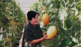 老太吃瓜,揭秘老年生活的新潮流