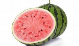 为什么吃瓜拉稀