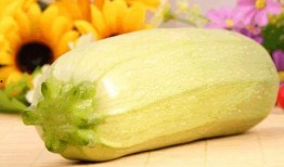 吃角瓜会得风湿,揭秘传统观念与现代科学的碰撞