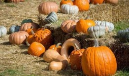 国外舞台吃瓜,揭秘各国舞台上的“吃瓜”现象