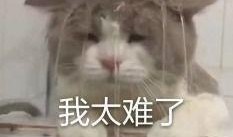 内娱吃瓜群,揭秘娱乐圈幕后风云