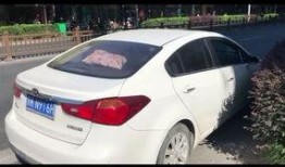 商务车吃瓜,揭秘职场八卦背后的真相