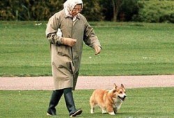 狗子带主人吃瓜,欢乐日常温馨呈现