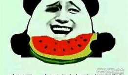 吃瓜得瓜是什么意思,揭秘“吃瓜得瓜”的智慧与乐趣