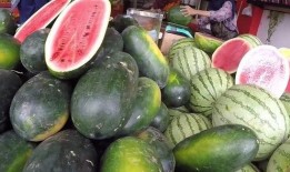 中国吃瓜视频全集,揭秘娱乐圈幕后真相