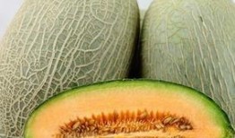 健身后吃哈密瓜,哈密瓜助力恢复与成长