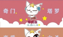 吃瓜之星,揭秘娱乐圈幕后风云