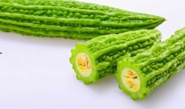 打预防针可以吃小瓜吗,小瓜可否成为美味佳肴？