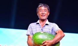 山东鄄城吃瓜事件,一场网络热议背后的真相与反思