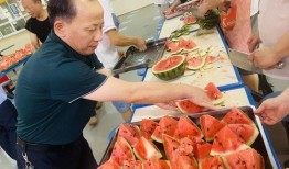 校园吃瓜事件学生,揭秘校园里的“瓜田”风云