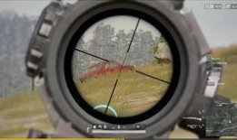 pipi吃瓜,跟随pipi一起探索吃瓜的奥秘