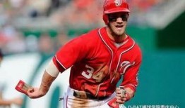 棒球 吃瓜,揭秘球场内外那些趣事