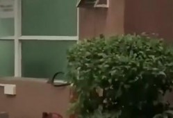 仁寿吃瓜新闻,揭秘当地热点事件背后的真相