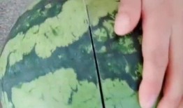 大妈吃不起瓜,瓜果之困与生活之选