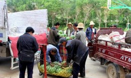 博兴吃瓜群众,揭秘当地热点事件背后的故事