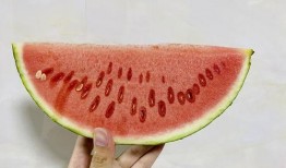 土耳瓜吃西瓜,一场味蕾的盛宴