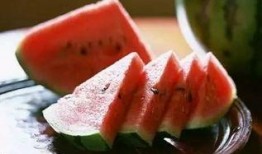 勺子吃瓜从哪里开始吃,勺子吃瓜的奇妙旅程