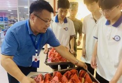 校园吃瓜事件学生,揭秘校园里的“瓜田”风云