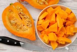 宝瓜吃盘子,吃掉盘子的奇幻之旅