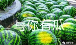 北京大学 吃瓜,揭秘校园生活新潮流”