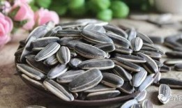 瓜儿吃瓜子视频,一场甜蜜的瓜子盛宴