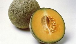 怎么吃瓜视频教程